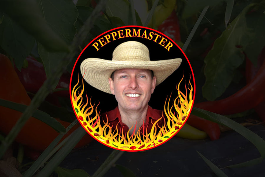 Naga Pepper Bush Competition
