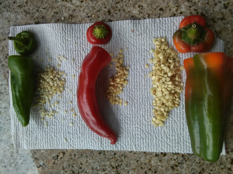 Goatpeppers, Bird Peppers, and Seeds; It Must Be January!